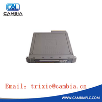 ICS Triplex T3310 Module